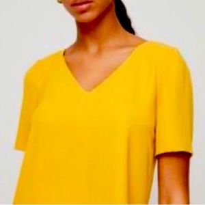 Aritizia Randy blouse